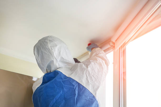 Best Emergency Mold Remediation  in Fernley, NV