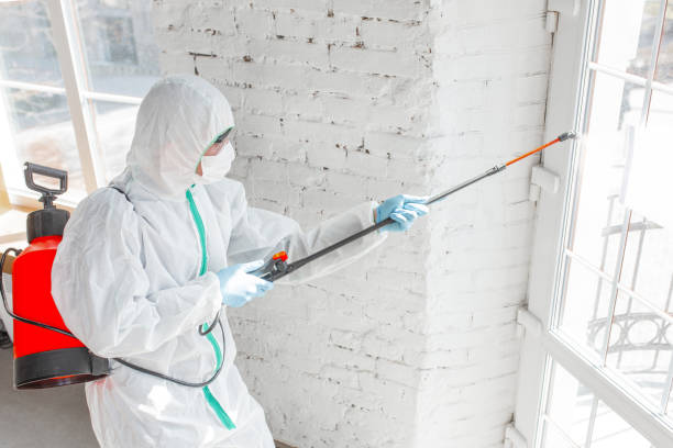 Best Environmental Consulting for Mold Prevention  in Fernley, NV