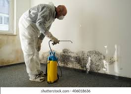 Mold Remediation for Rental Properties in Fernley, NV